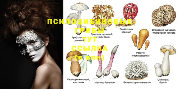 спиды Михайловка