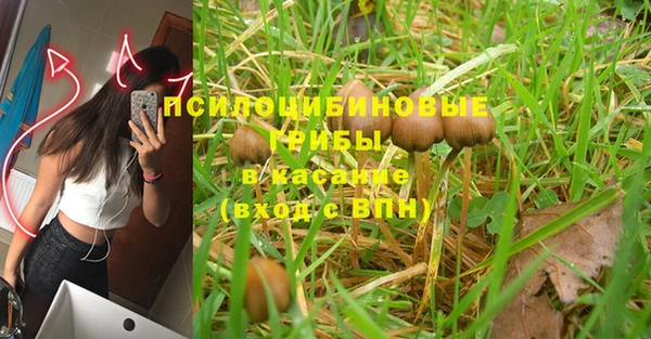 синтетический гашиш Михайлов