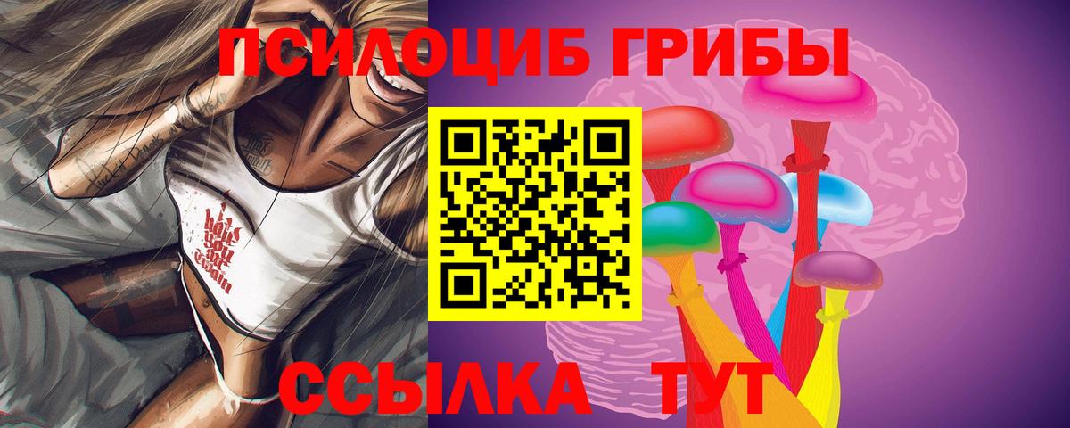 Всеволожск  Галлюциногенные грибы Psilocybine cubensis  Вход с VPN 