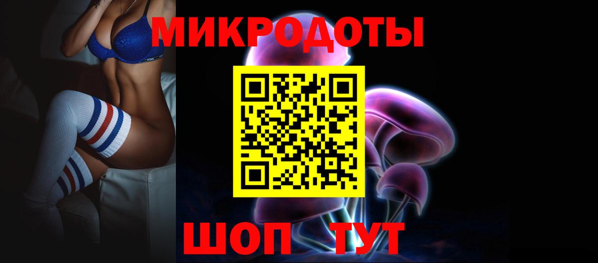 Псилоцибиновые грибы Psilocybine cubensis Всеволожск