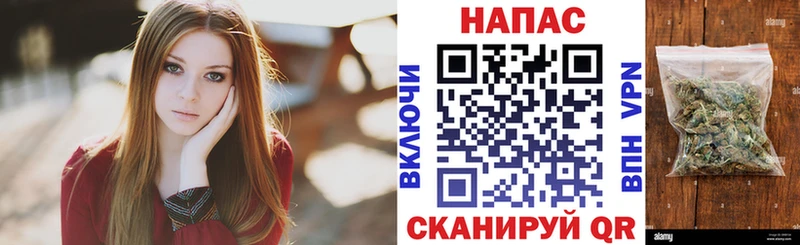 дарнет шоп  Всеволожск  Каннабис ГИДРОПОН 